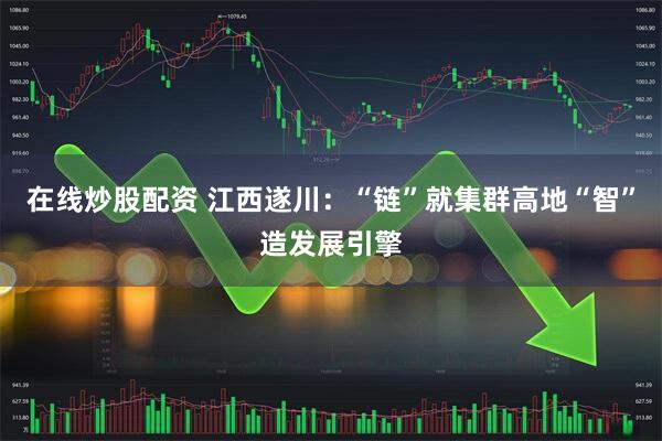 在线炒股配资 江西遂川：“链”就集群高地“智”造发展引擎