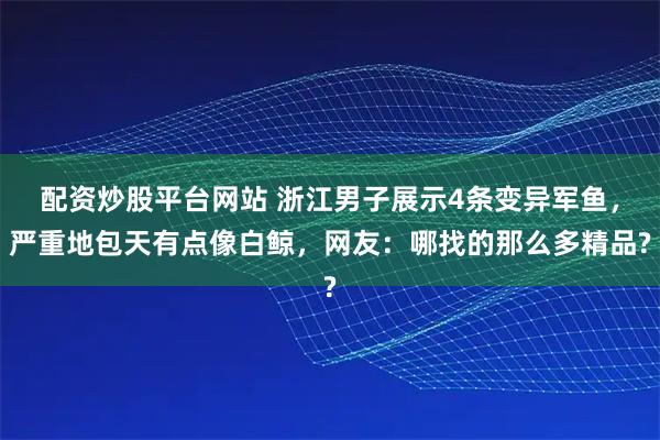 配资炒股平台网站 浙江男子展示4条变异军鱼，严重地包天有点像白鲸，网友：哪找的那么多精品?